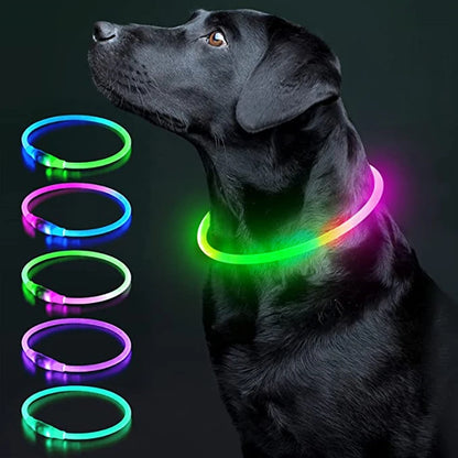 LED Safety Collar - USB Rechargeable Glowing Dog Collar for Night Visibility