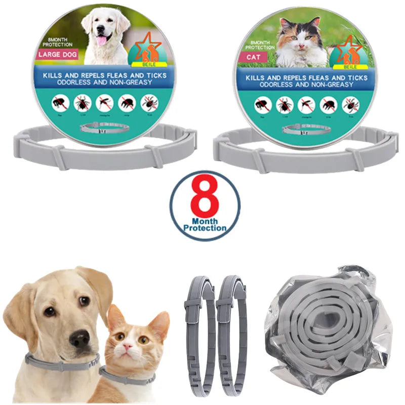 LED Safety Collar - USB Rechargeable Glowing Dog Collar for Night Visibility