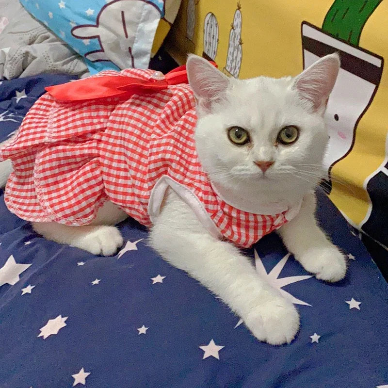 Luxury Princess Bow Dress - Striped & Plaid Summer Dress for Cats & Small Dogs