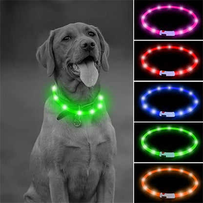 LED Safety Collar - USB Rechargeable Glowing Dog Collar for Night Visibility
