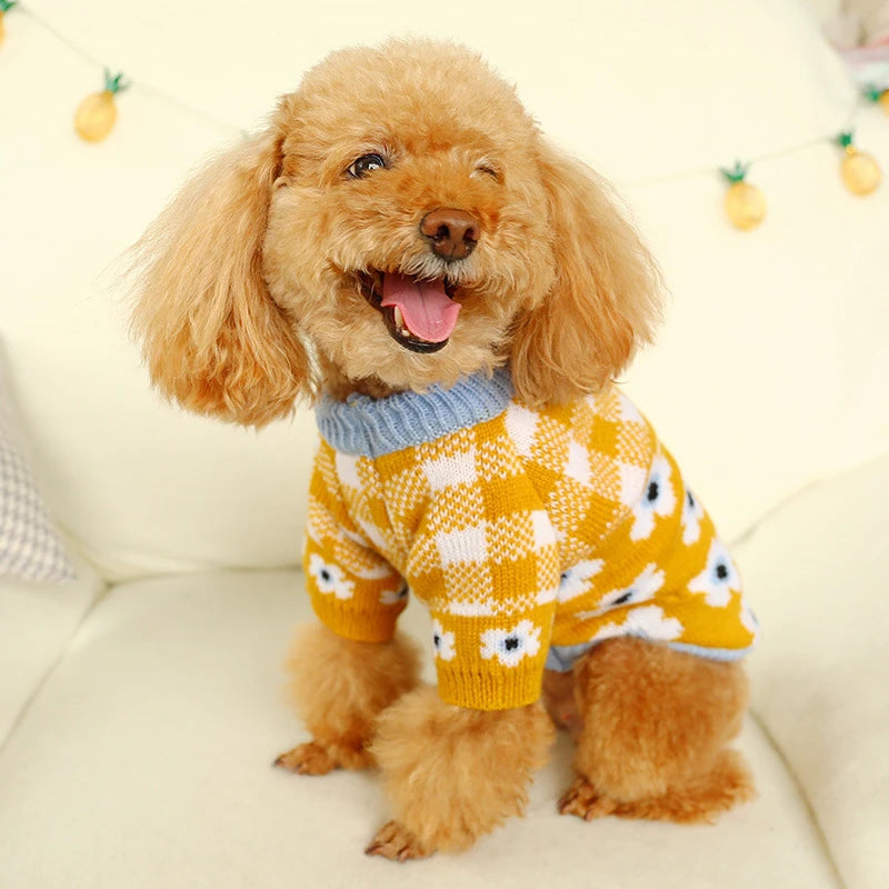 Floral Knit Sweater for Dogs & Cats