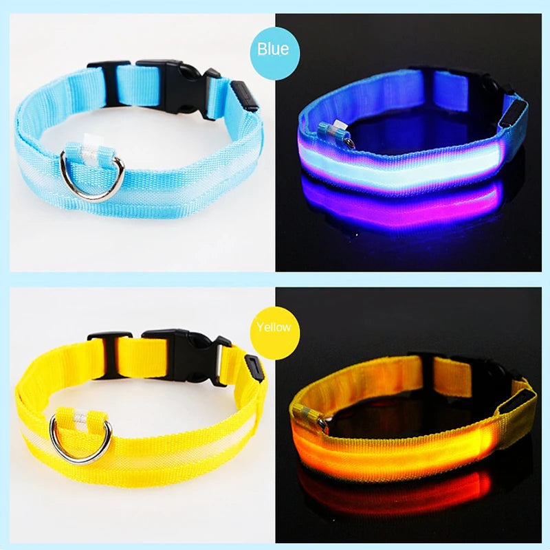 LED Safety Collar - USB Rechargeable Glowing Dog Collar for Night Visibility