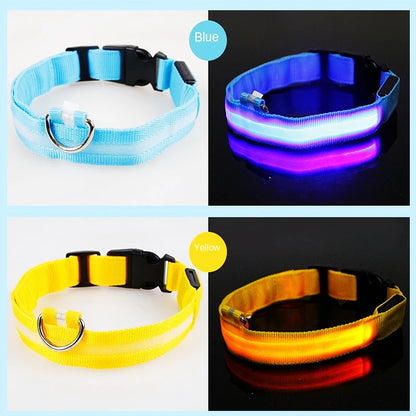LED Safety Collar - USB Rechargeable Glowing Dog Collar for Night Visibility