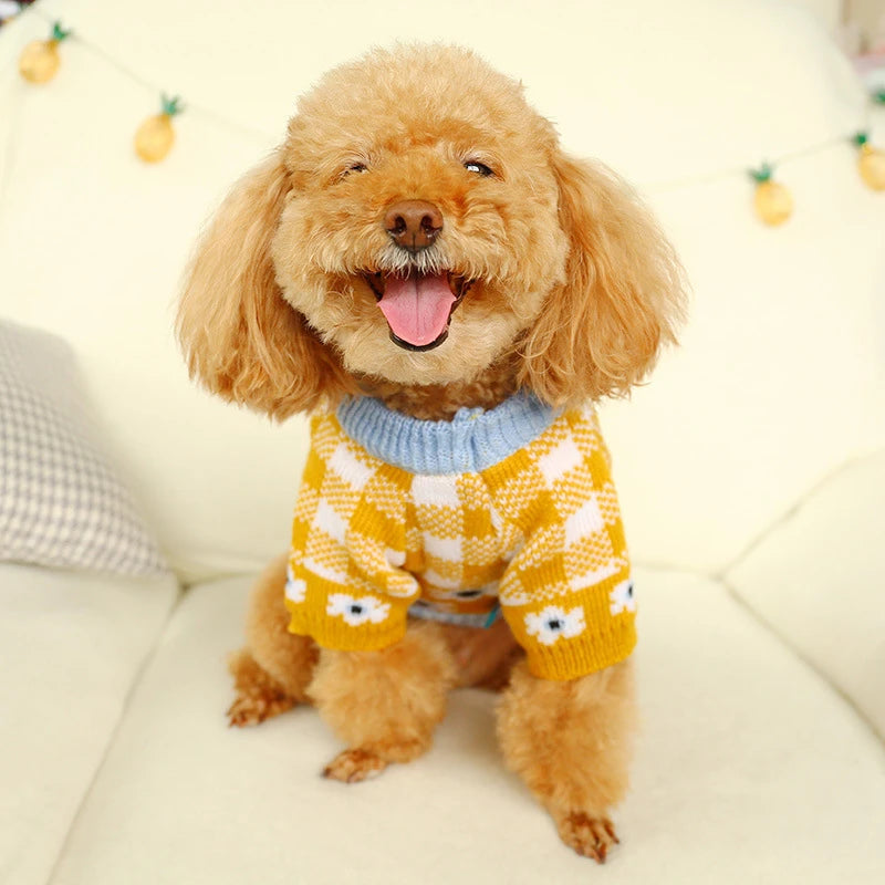 Floral Knit Sweater for Dogs & Cats