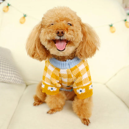 Floral Knit Sweater for Dogs & Cats