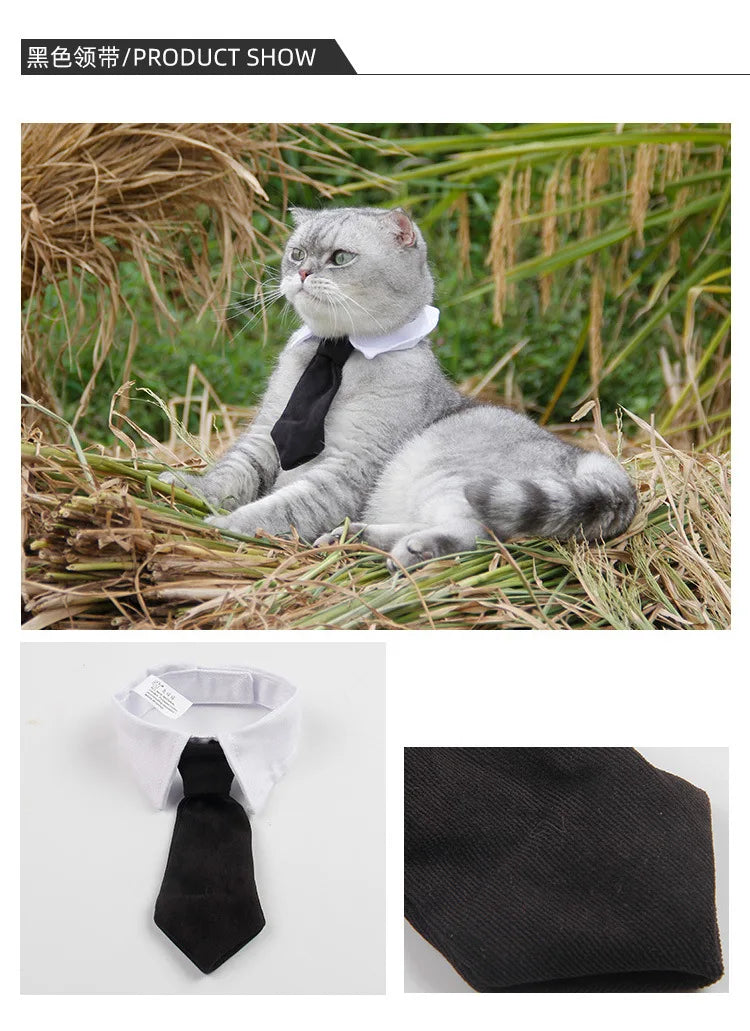 Luxury Formal Bow Tie Collar - Tuxedo Necktie for Dogs & Cats