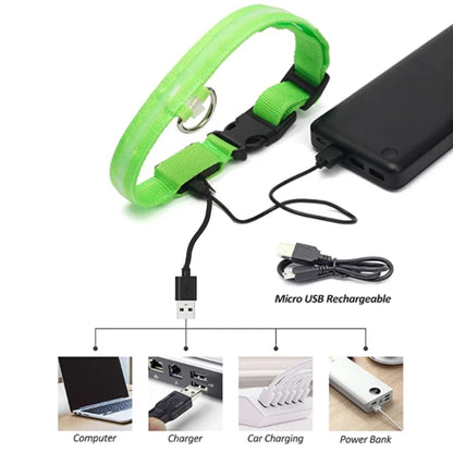 LED Safety Collar - USB Rechargeable Glowing Dog Collar for Night Visibility