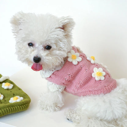 Floral Knit Sweater for Dogs & Cats