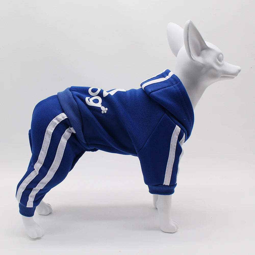 Athletic Sports Jumpsuit - Designer Activewear for Small Dogs