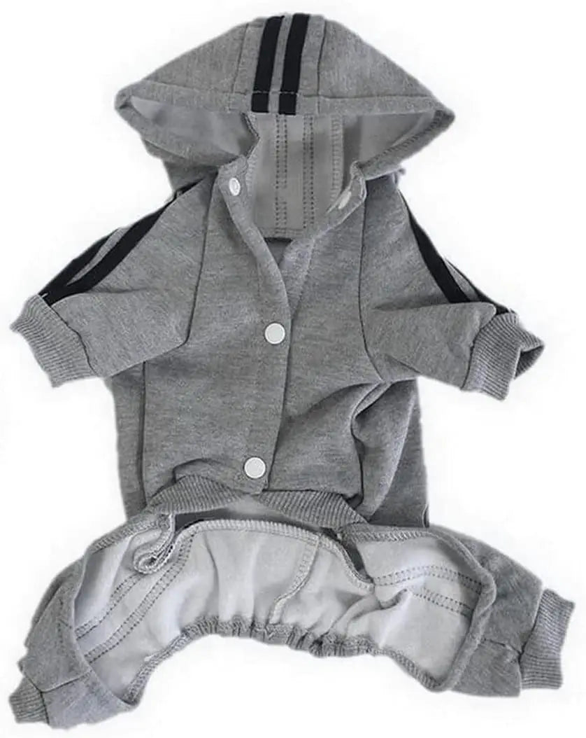 Athletic Sports Jumpsuit - Designer Activewear for Small Dogs