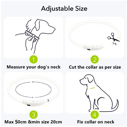 LED Safety Collar - USB Rechargeable Glowing Dog Collar for Night Visibility