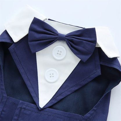 Luxurious Male Pet Costume for Small Dogs High Quality Puppy Dog Tailcoat Suit Dress Chihuahua Maltese mascotas Wedding Clothing
