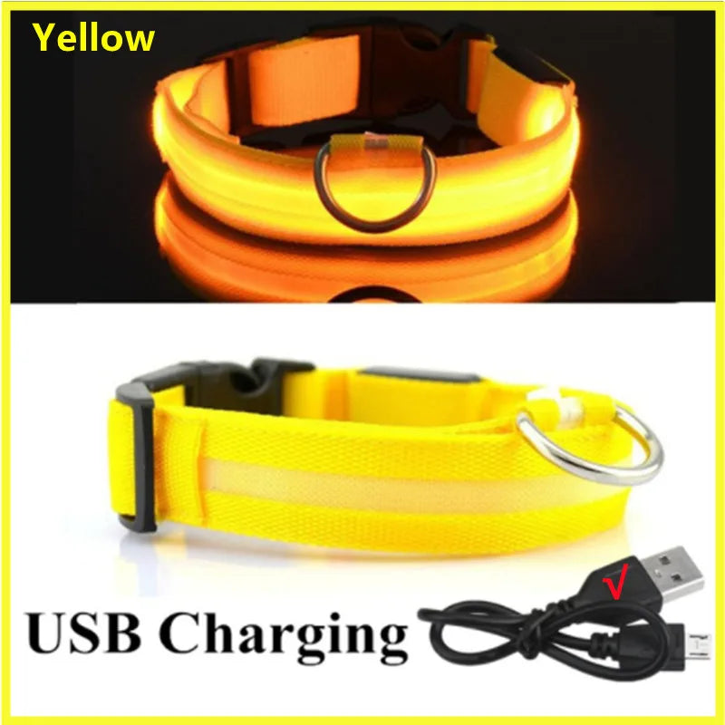 LED Safety Collar - USB Rechargeable Glowing Dog Collar for Night Visibility