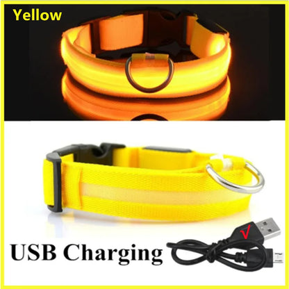LED Safety Collar - USB Rechargeable Glowing Dog Collar for Night Visibility
