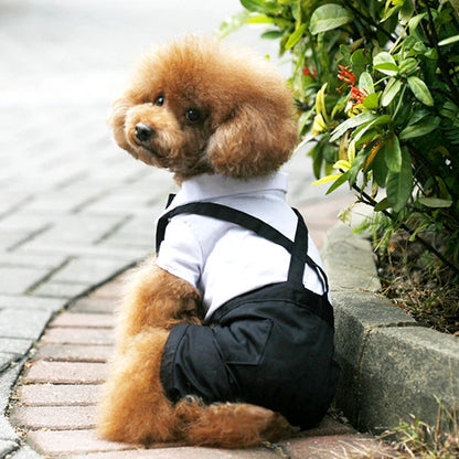 Luxury Classic Prince Tuxedo - Premium Formal Suit with Bow Tie for Dogs & Cats