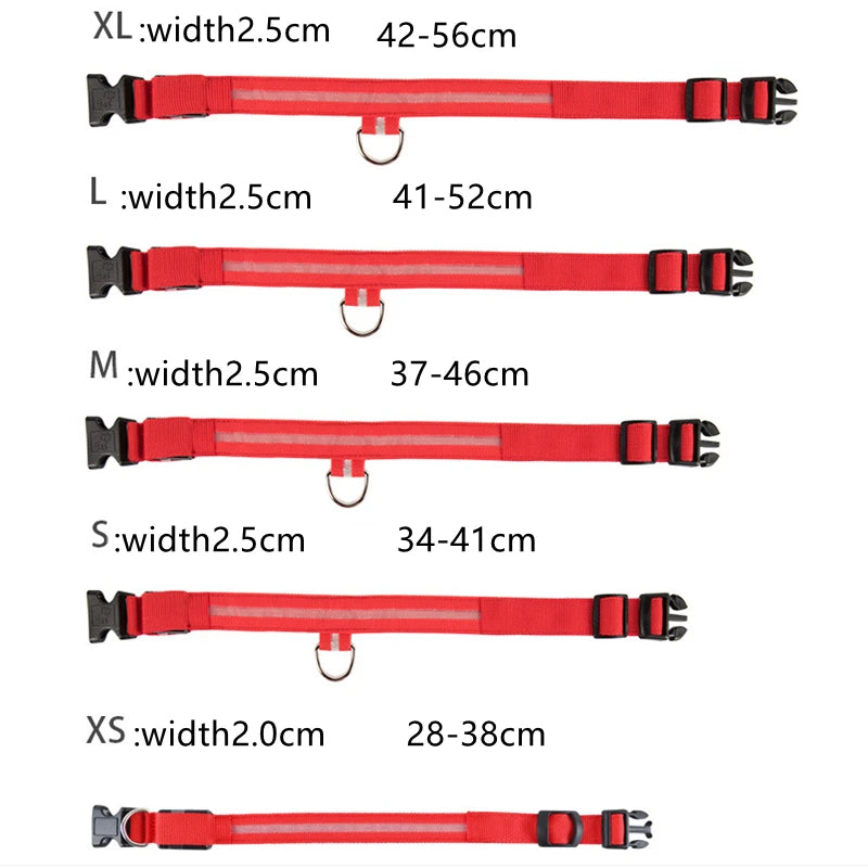 LED Safety Collar - USB Rechargeable Glowing Dog Collar for Night Visibility