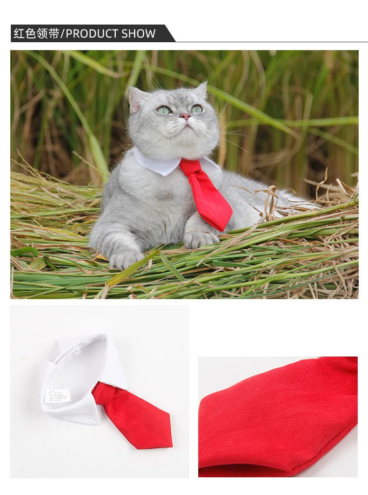 Luxury Formal Bow Tie Collar - Tuxedo Necktie for Dogs & Cats