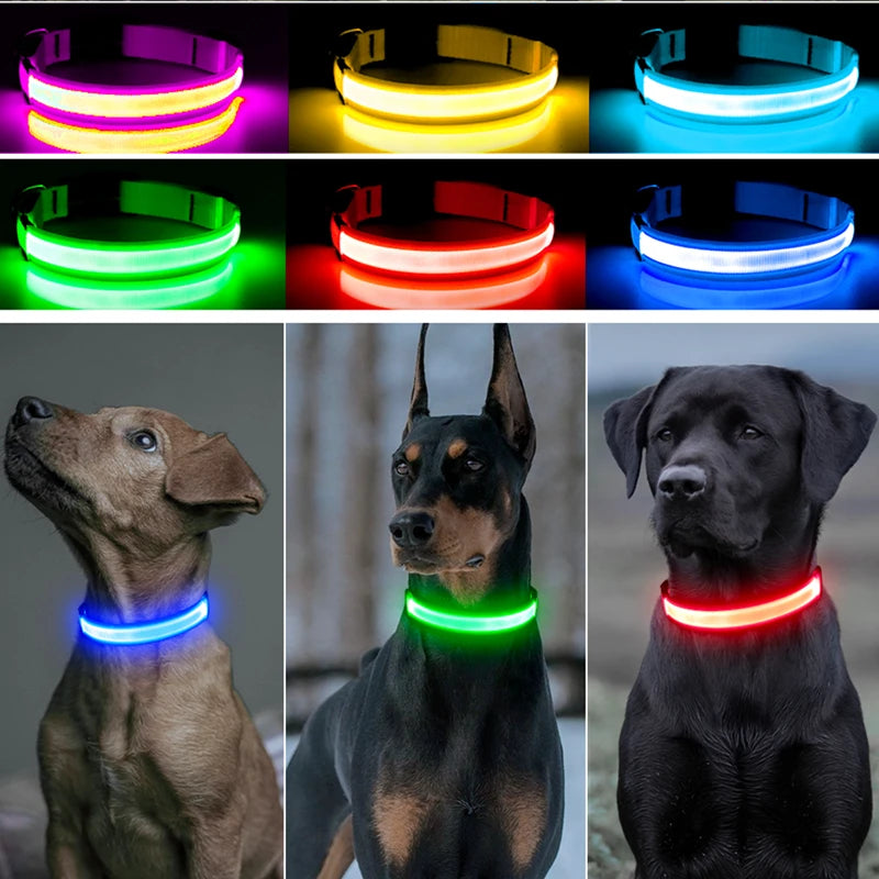 LED Safety Collar - USB Rechargeable Glowing Dog Collar for Night Visibility