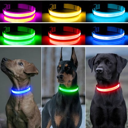 LED Safety Collar - USB Rechargeable Glowing Dog Collar for Night Visibility