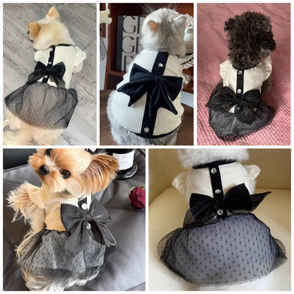 Luxury Bow & Lace Dog Dress - Summer Outfit for Small Dogs & Chihuahuas