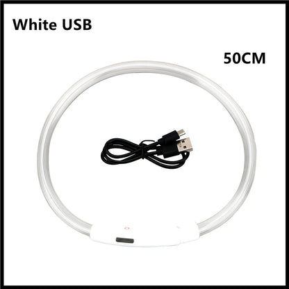 LED Safety Collar - USB Rechargeable Glowing Dog Collar for Night Visibility