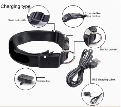 LED Safety Collar - USB Rechargeable Glowing Dog Collar for Night Visibility