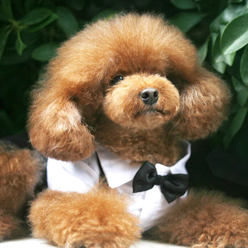 Luxury Classic Prince Tuxedo - Premium Formal Suit with Bow Tie for Dogs & Cats