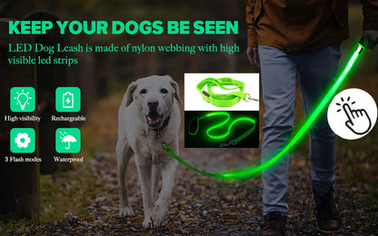 LED Safety Collar - USB Rechargeable Glowing Dog Collar for Night Visibility