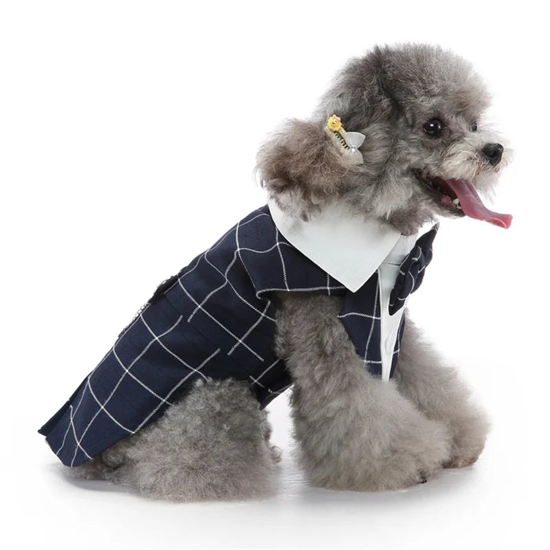 Luxurious Male Pet Costume for Small Dogs High Quality Puppy Dog Tailcoat Suit Dress Chihuahua Maltese mascotas Wedding Clothing