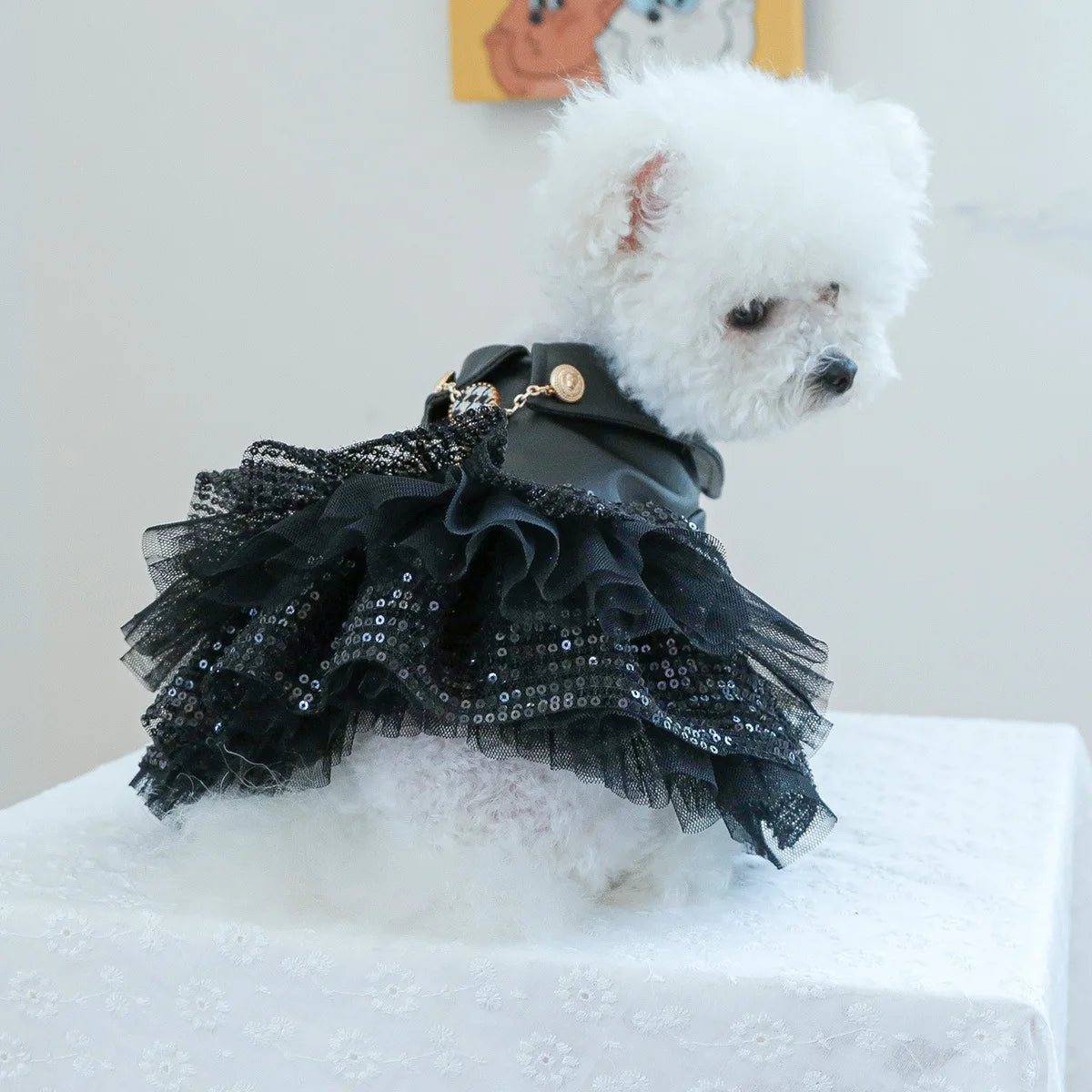 Luxury Leather-Look Waterproof Coat - Designer Princess Jacket for Small to Medium Dogs