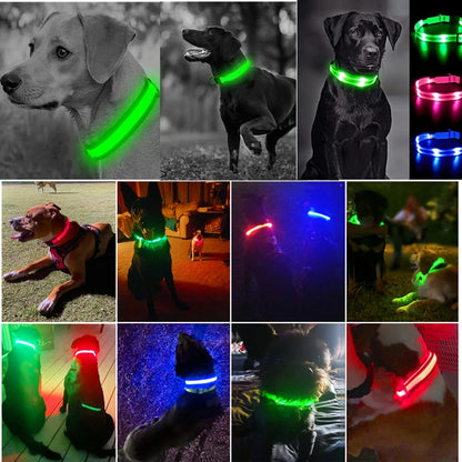 LED Safety Collar - USB Rechargeable Glowing Dog Collar for Night Visibility