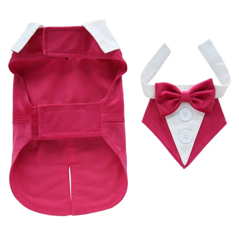 Luxurious Male Pet Costume for Small Dogs High Quality Puppy Dog Tailcoat Suit Dress Chihuahua Maltese mascotas Wedding Clothing