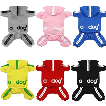Athletic Sports Jumpsuit - Designer Activewear for Small Dogs