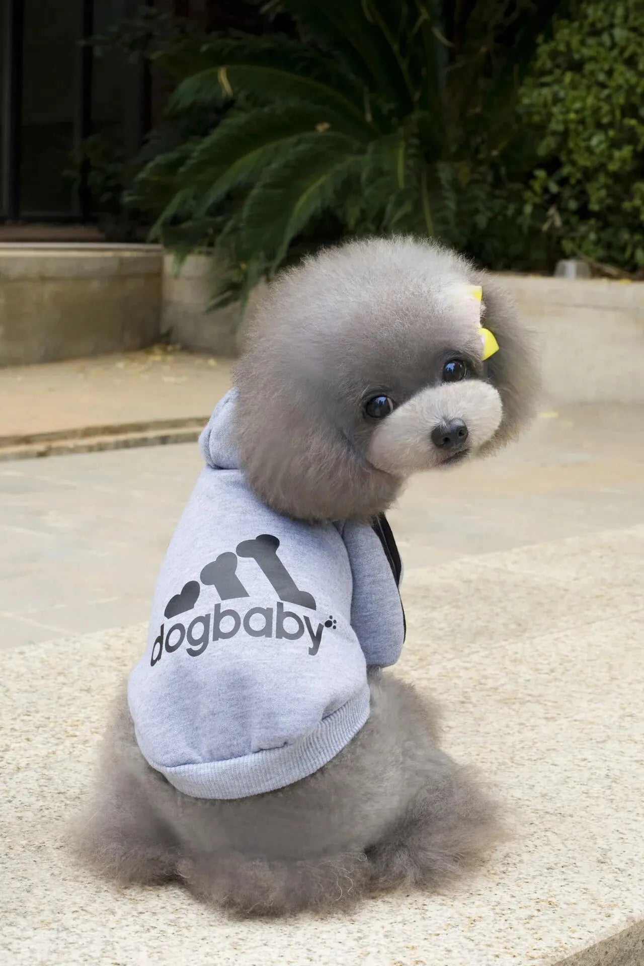 Luxury Fleece Sports Hoodie - Two-Legged Athletic Jacket for Small Dogs & Cats