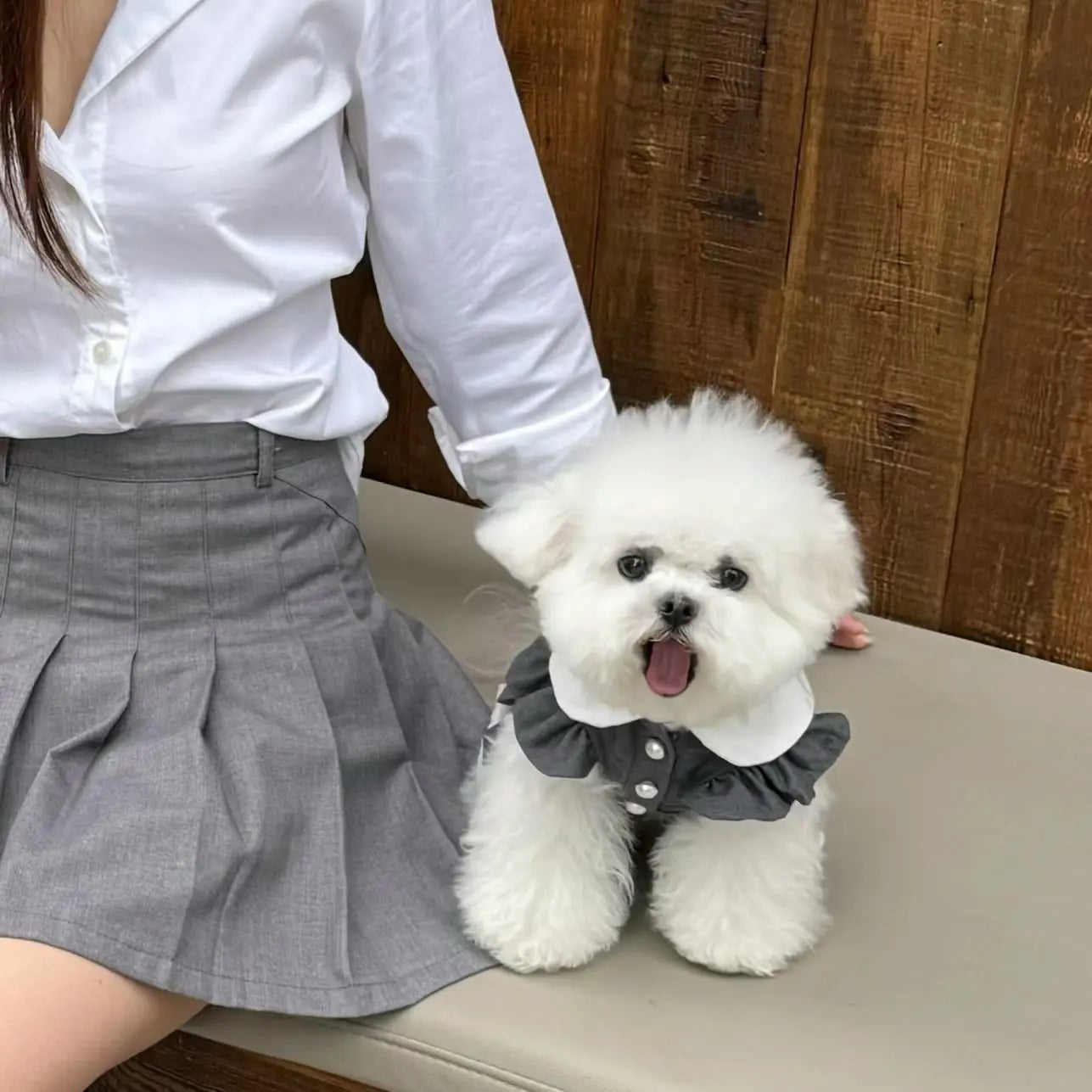Cute Pleated Skirt Dress - Korean Style Pet Fashion for Small to Medium Dogs & Cats