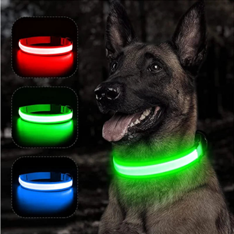 LED Safety Collar - USB Rechargeable Glowing Dog Collar for Night Visibility
