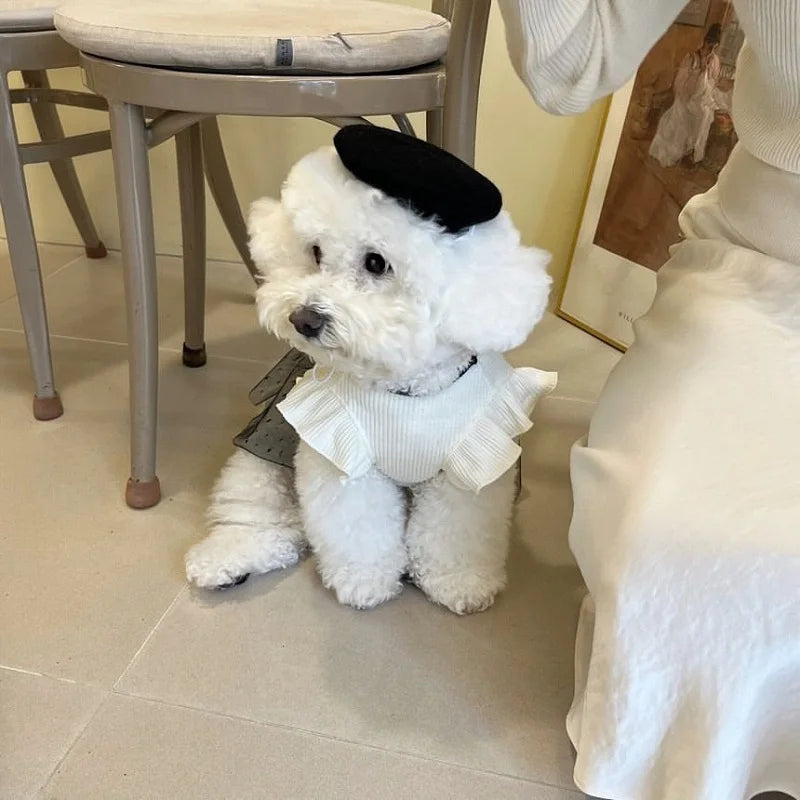 Luxury Bow & Lace Dog Dress - Summer Outfit for Small Dogs & Chihuahuas