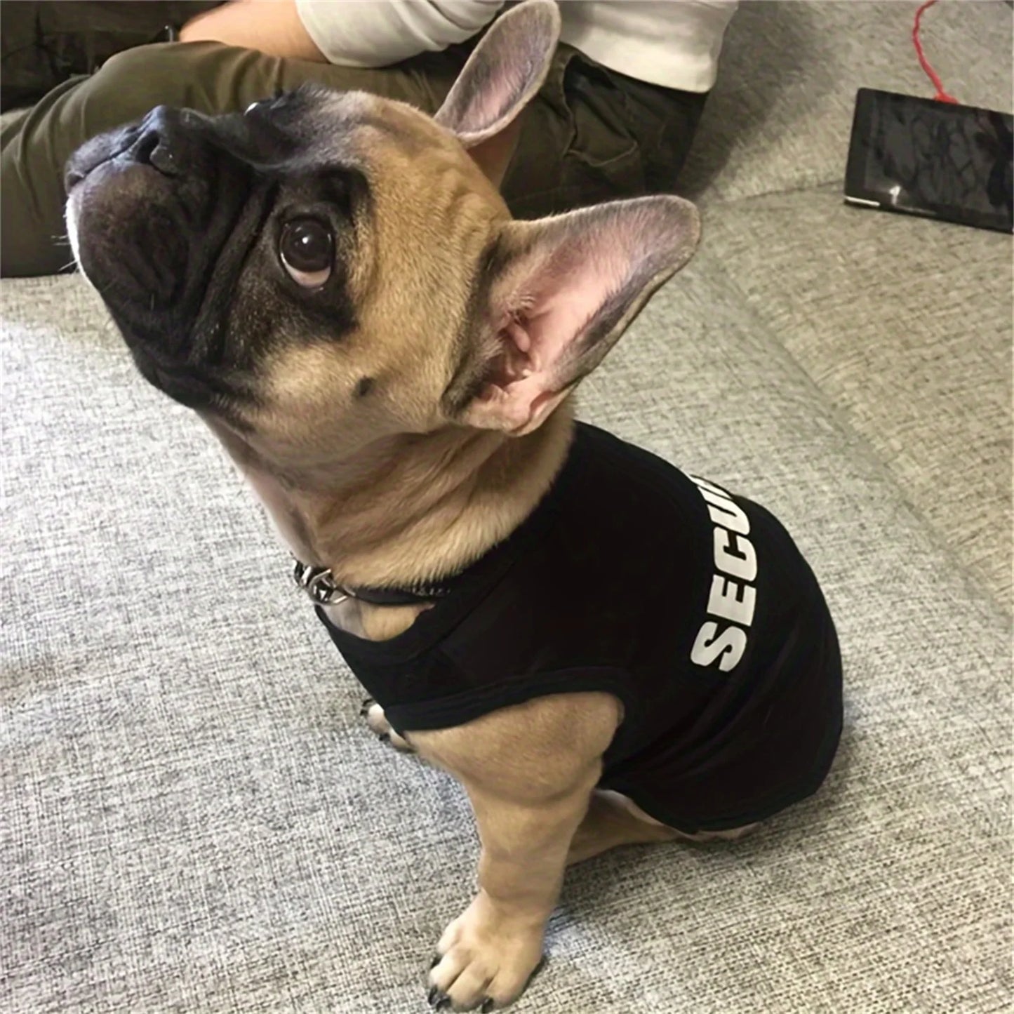 Security Guard Vest T-Shirt for Dogs & Cats