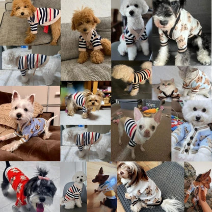 Luxury Striped Cardigan Sweater - Winter Warm Coat for Chihuahuas & Small Dogs