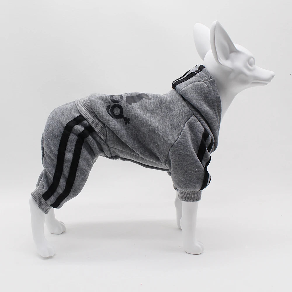 Athletic Sports Jumpsuit - Designer Activewear for Small Dogs