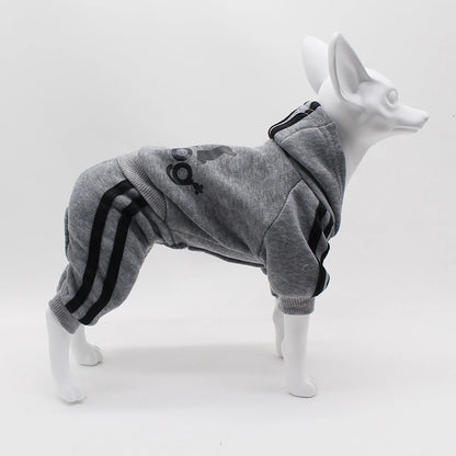 Athletic Sports Jumpsuit - Designer Activewear for Small Dogs