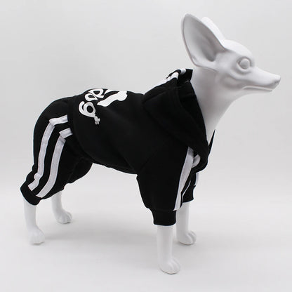 Athletic Sports Jumpsuit - Designer Activewear for Small Dogs
