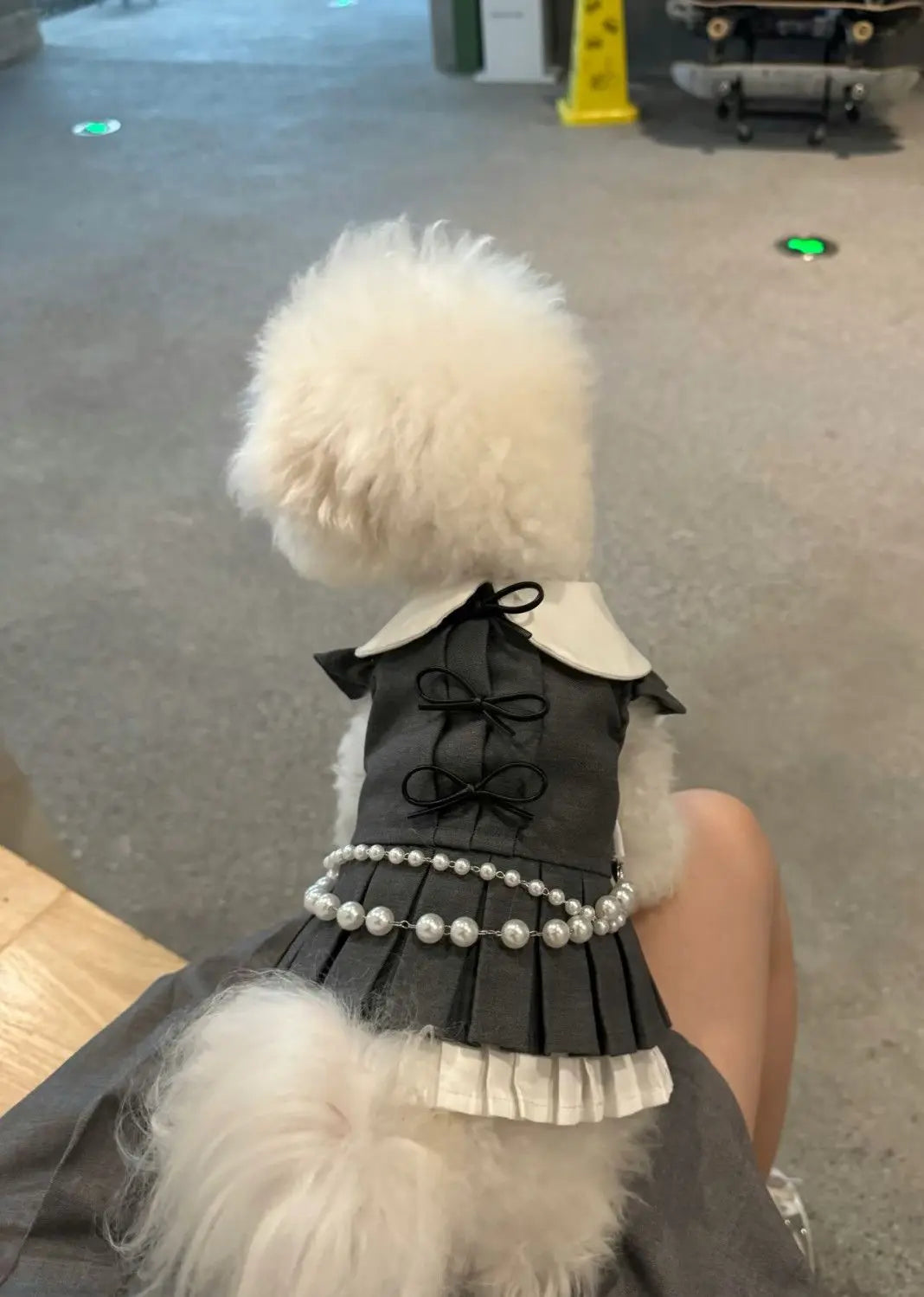 Cute Pleated Skirt Dress - Korean Style Pet Fashion for Small to Medium Dogs & Cats