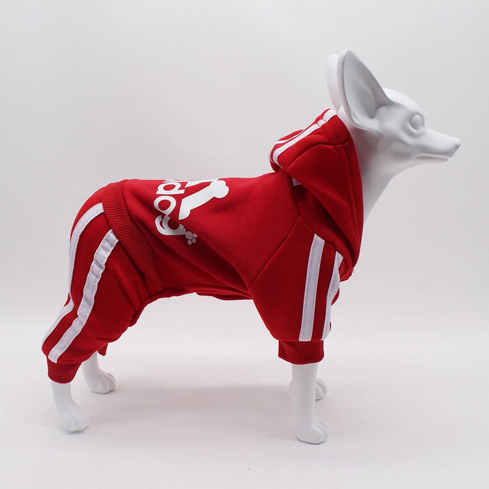 Athletic Sports Jumpsuit - Designer Activewear for Small Dogs