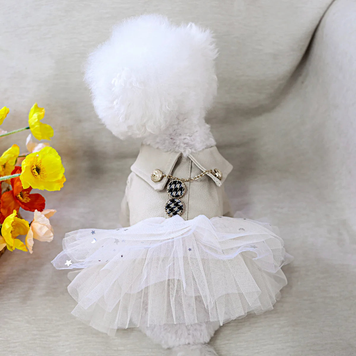 Luxury Leather-Look Waterproof Coat - Designer Princess Jacket for Small to Medium Dogs