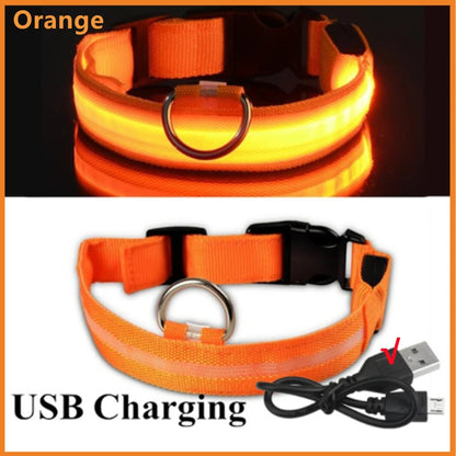 LED Safety Collar - USB Rechargeable Glowing Dog Collar for Night Visibility