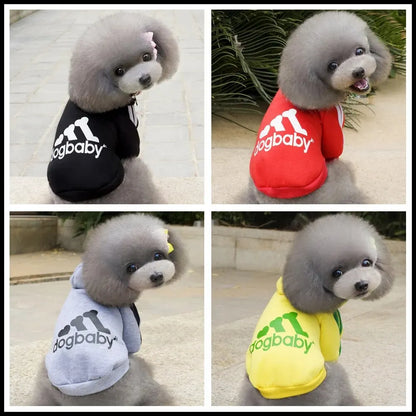 Luxury Fleece Sports Hoodie - Two-Legged Athletic Jacket for Small Dogs & Cats