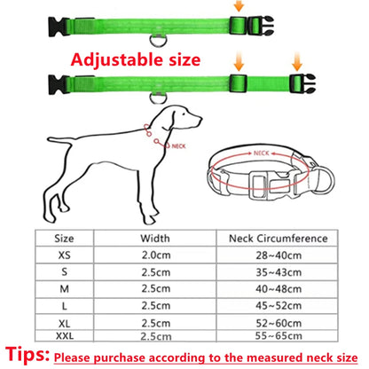 LED Safety Collar - USB Rechargeable Glowing Dog Collar for Night Visibility
