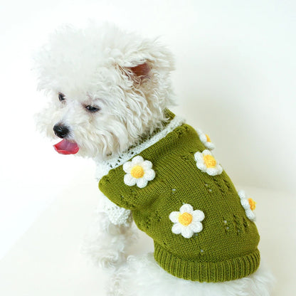 Floral Knit Sweater for Dogs & Cats