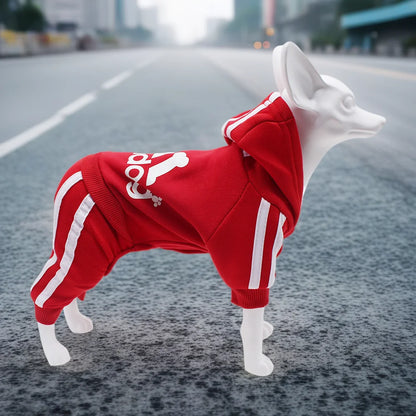 Athletic Sports Jumpsuit - Designer Activewear for Small Dogs